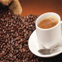 大樹咖啡廳加盟