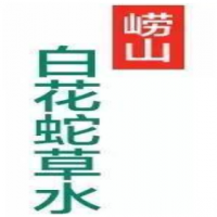 嶗山白花蛇草水飲品