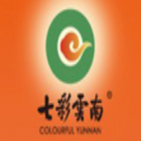 七彩云南普洱茶飲品