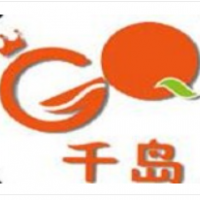 千島冰淇淋加盟