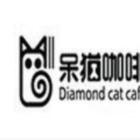 呆貓咖啡加盟