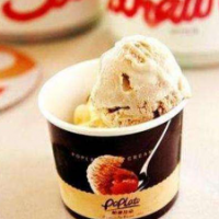 帕普拉朵冰淇淋加盟