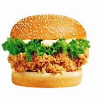 德萊斯?jié)h堡加盟