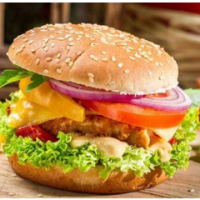 太陽星漢堡加盟