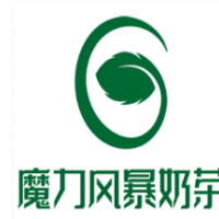 魔力風(fēng)暴奶茶加盟