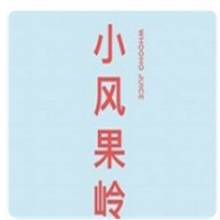 小風(fēng)果嶺加盟