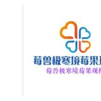 莓獸極寒境莓果現(xiàn)榨加盟